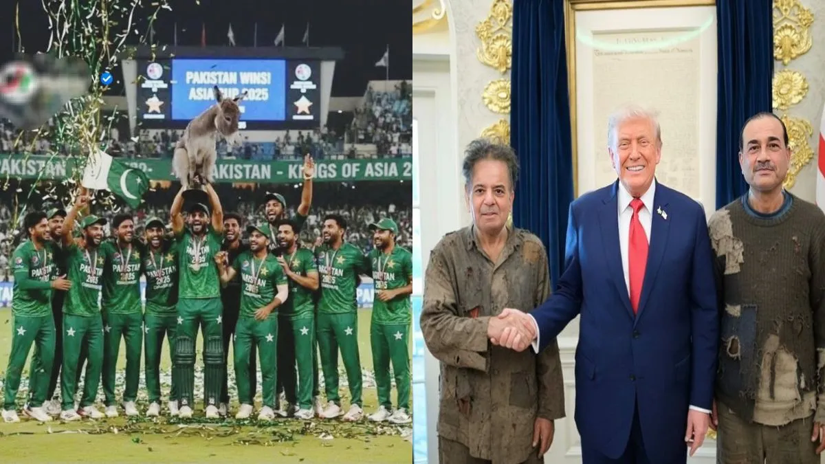 Memes on Pakistan Cricket Team- India TV Hindi