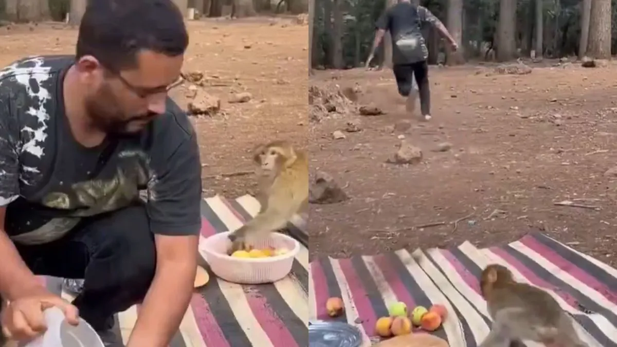 वायरल वीडियो का स्क्रीनशॉट- India TV Hindi