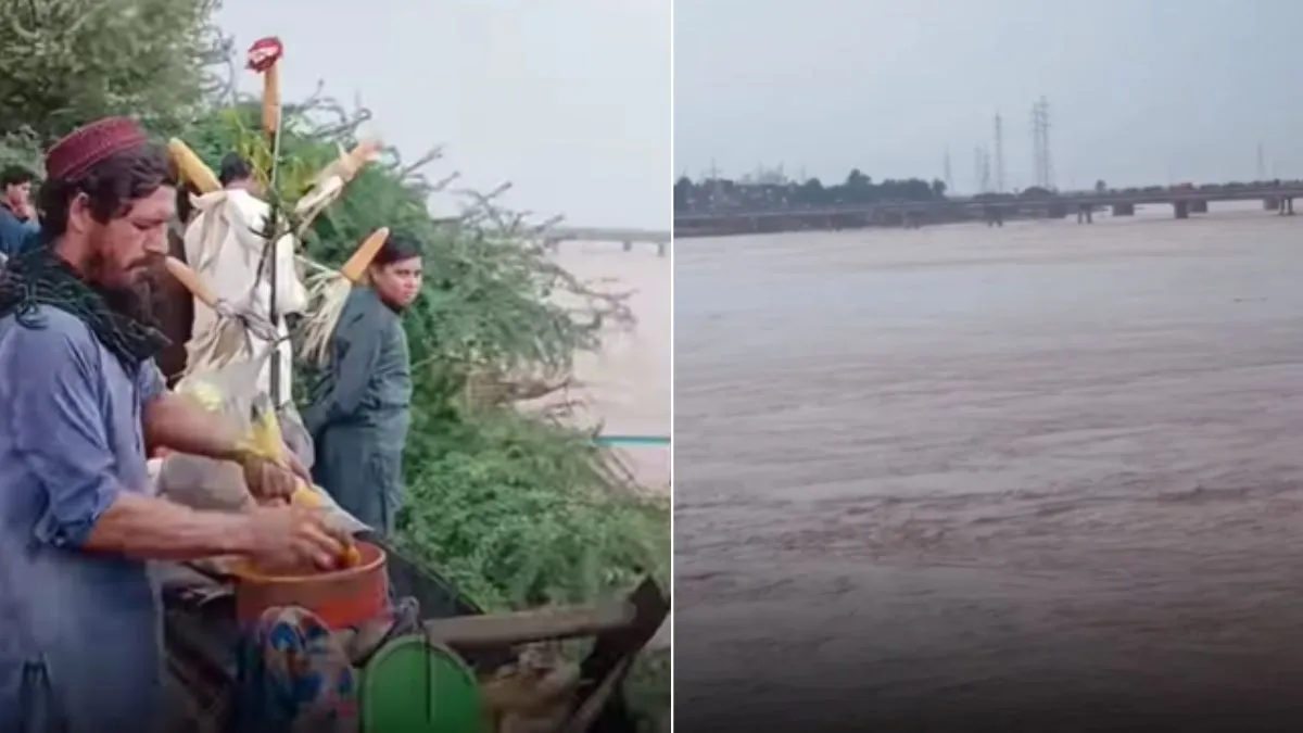 corn amid flood in Pakistan, corn stall video Pakistan, Pakistan flood video, Pakistan flood viral v- India TV Hindi