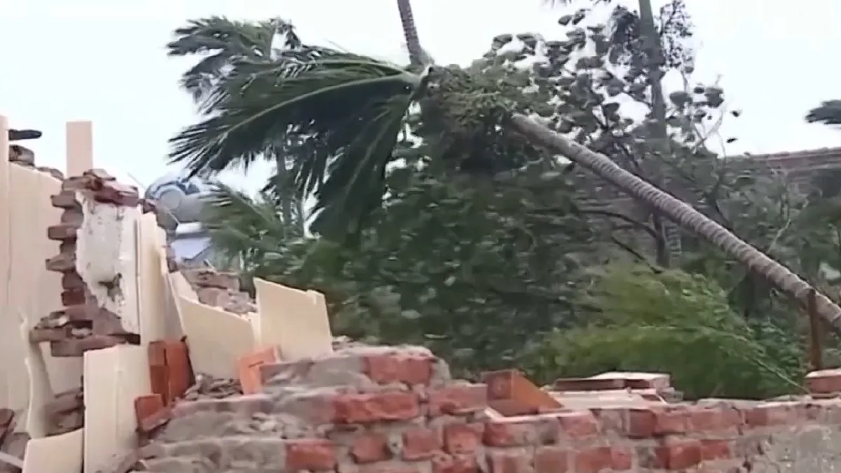 Vietnam Typhoon Bualoi- India TV Hindi