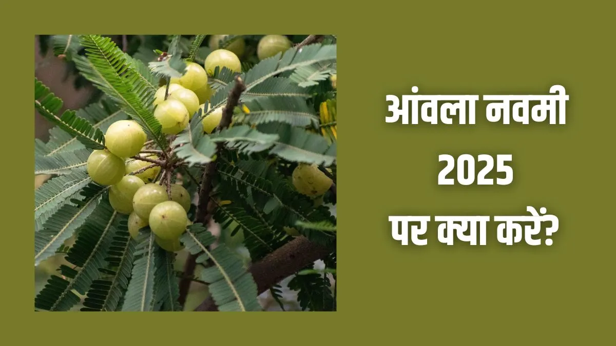 amla navami- India TV Hindi