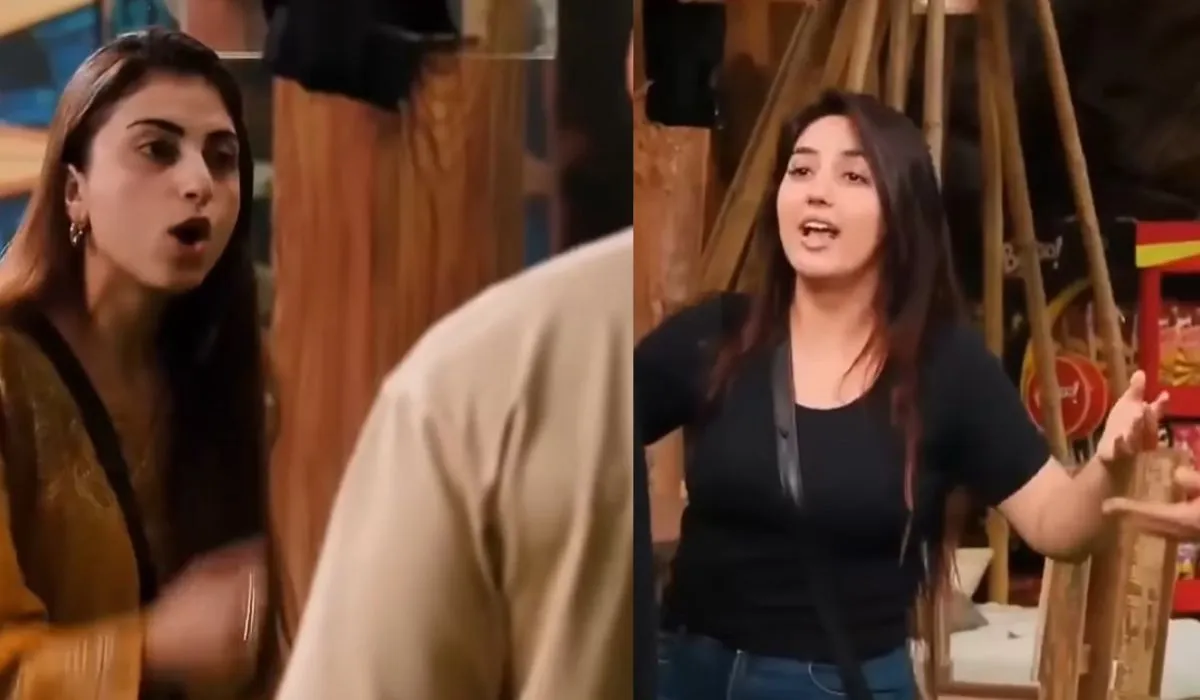 bigg boss 19- India TV Hindi