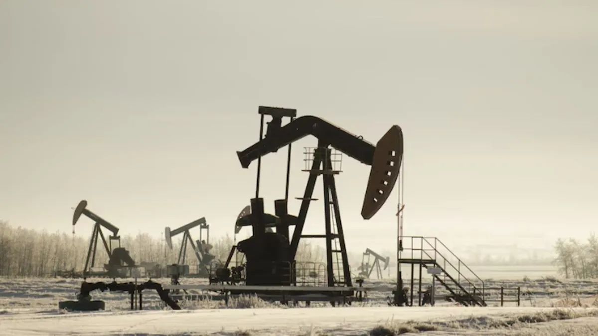 crude oil, russian oil, russian crude oil, oil, oil refinery companies, reliance industries, nayara - India TV Hindi
