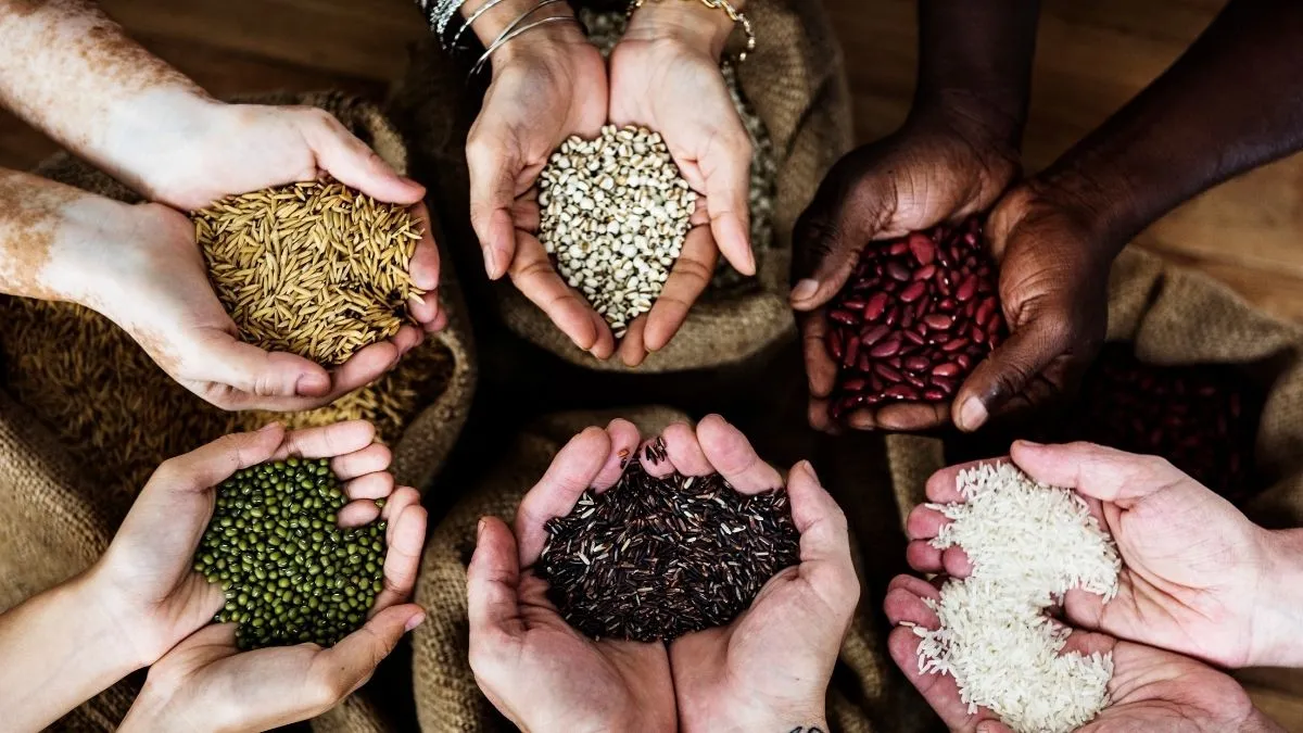 Kartik maas ke niyam- India TV Hindi