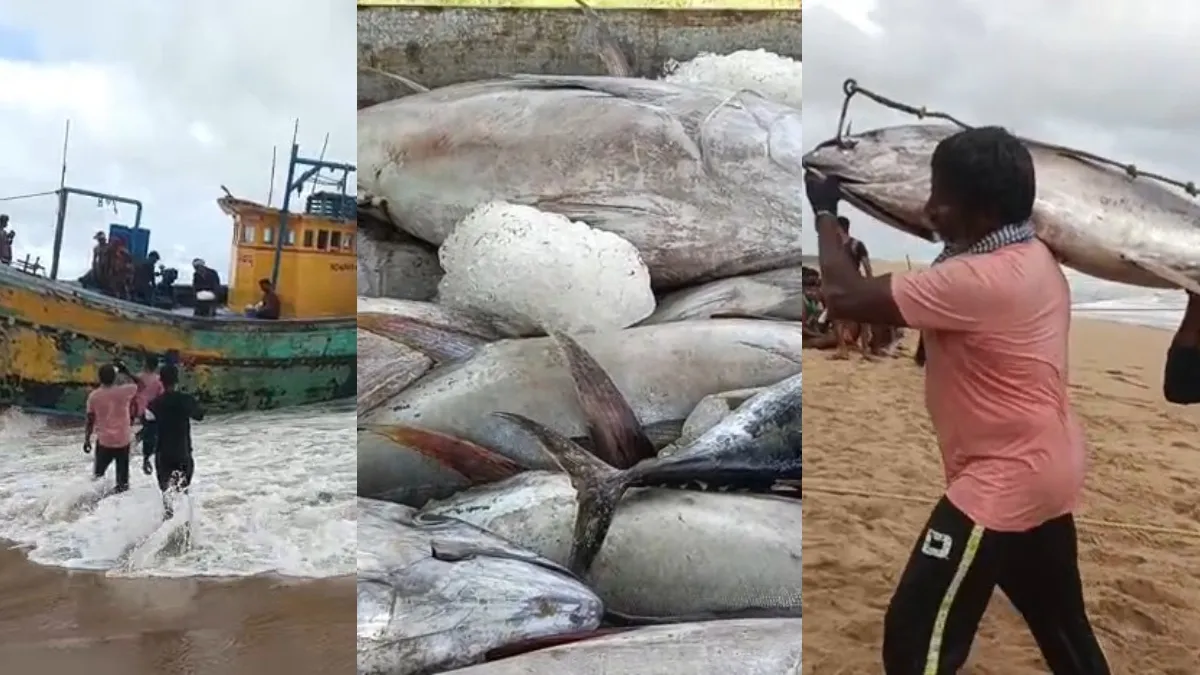 चक्रवात 'मोंथा' ने ट्रॉलर को लाकर बालिहरचंडी बीच पर पहुंचाया- India TV Hindi