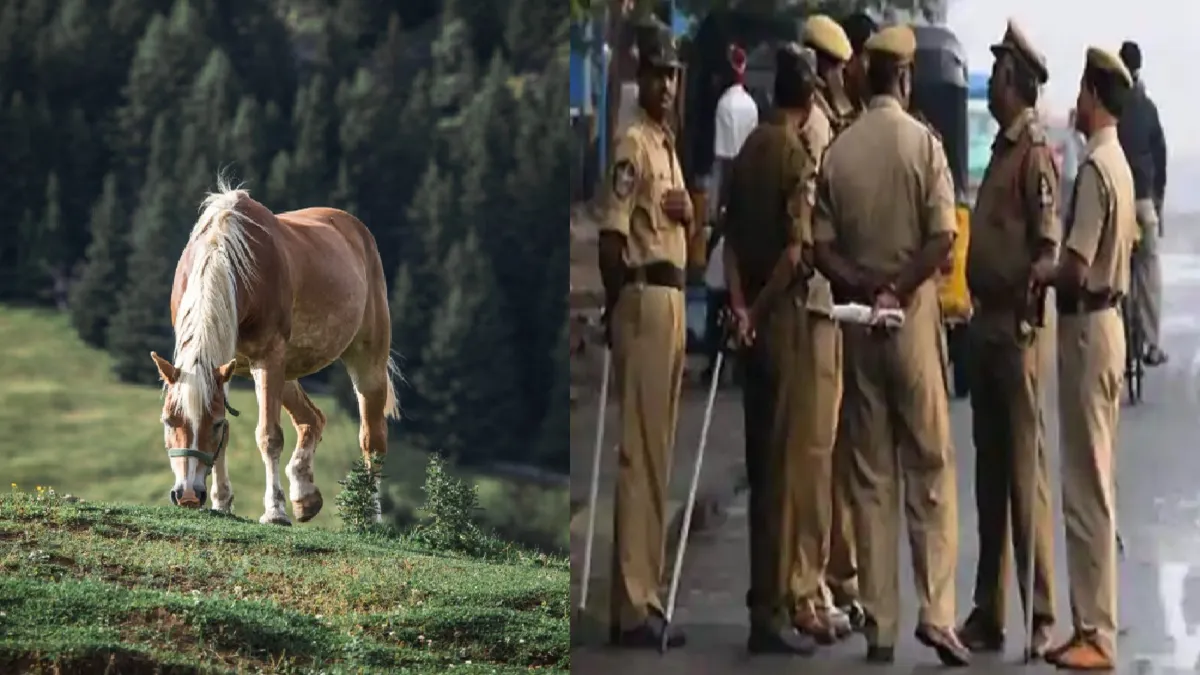 सांकेतिक तस्वीर- India TV Hindi