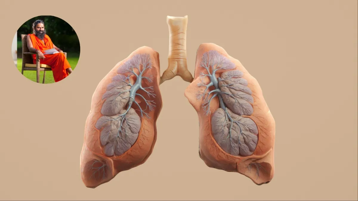 कमजोर फेफड़ों का इलाज क्या है- India TV Hindi