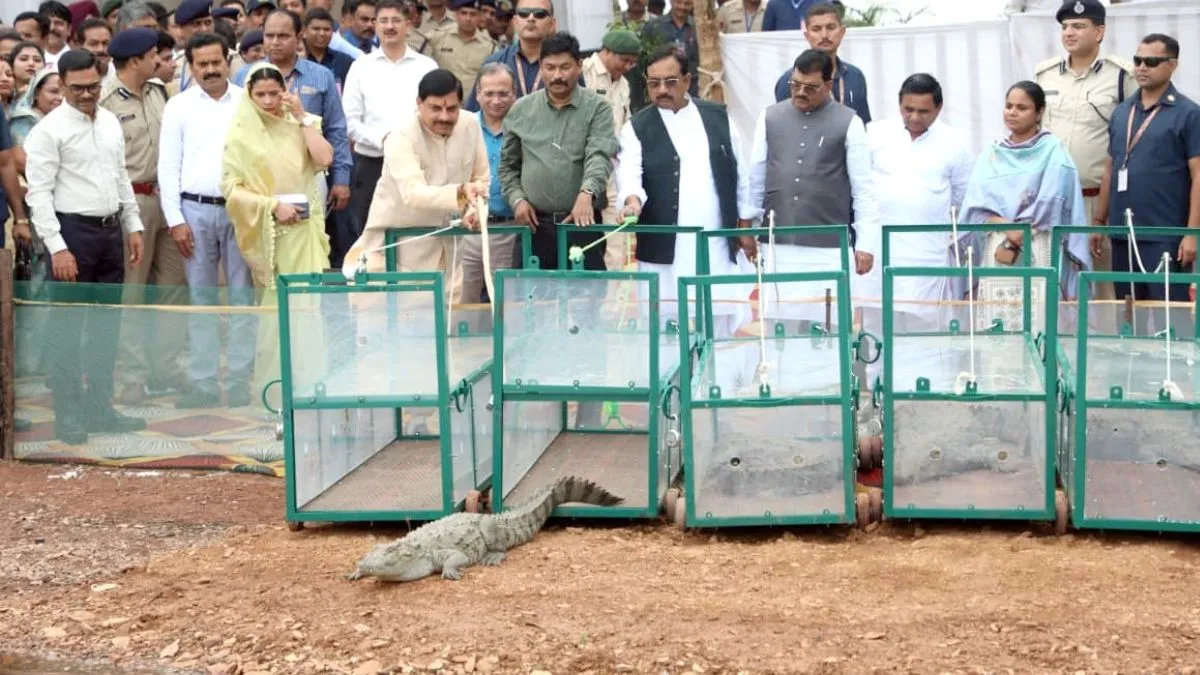 मध्य प्रदेश के...- India TV Hindi