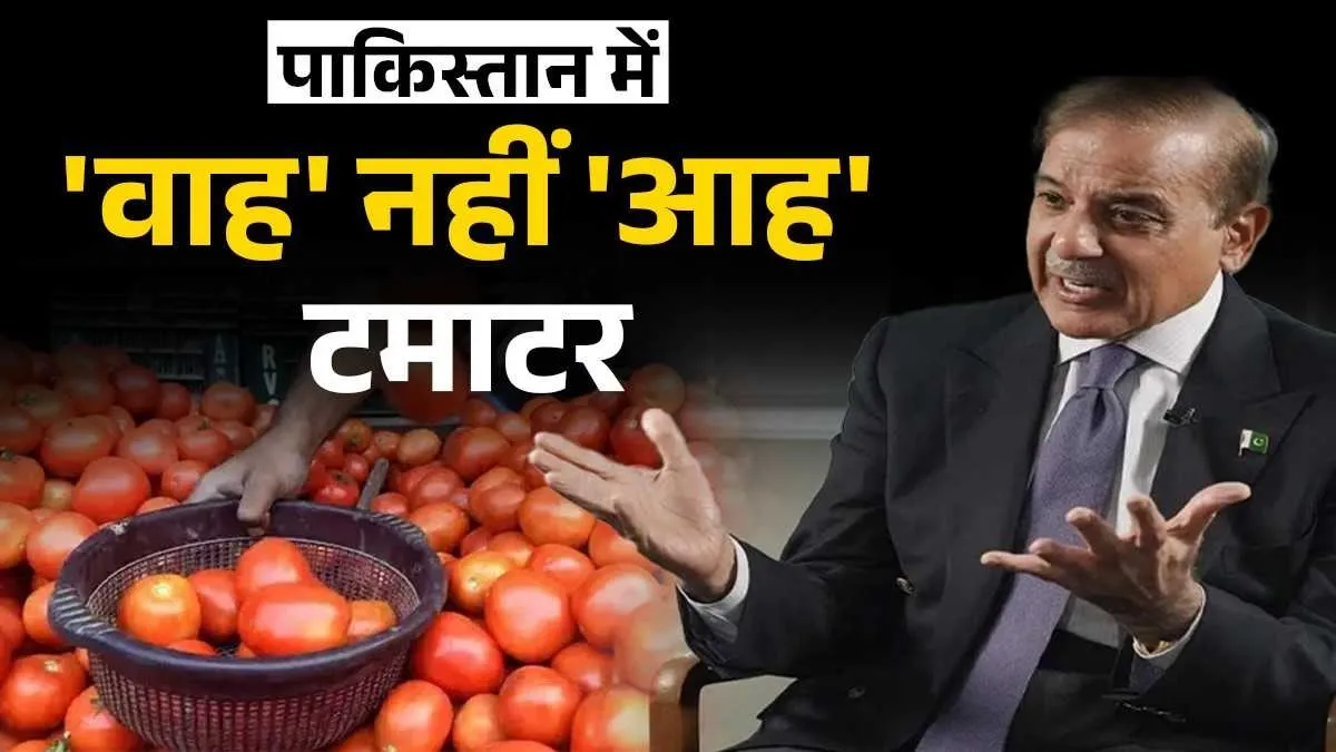 Pakistan Tomato Price Hike- India TV Hindi