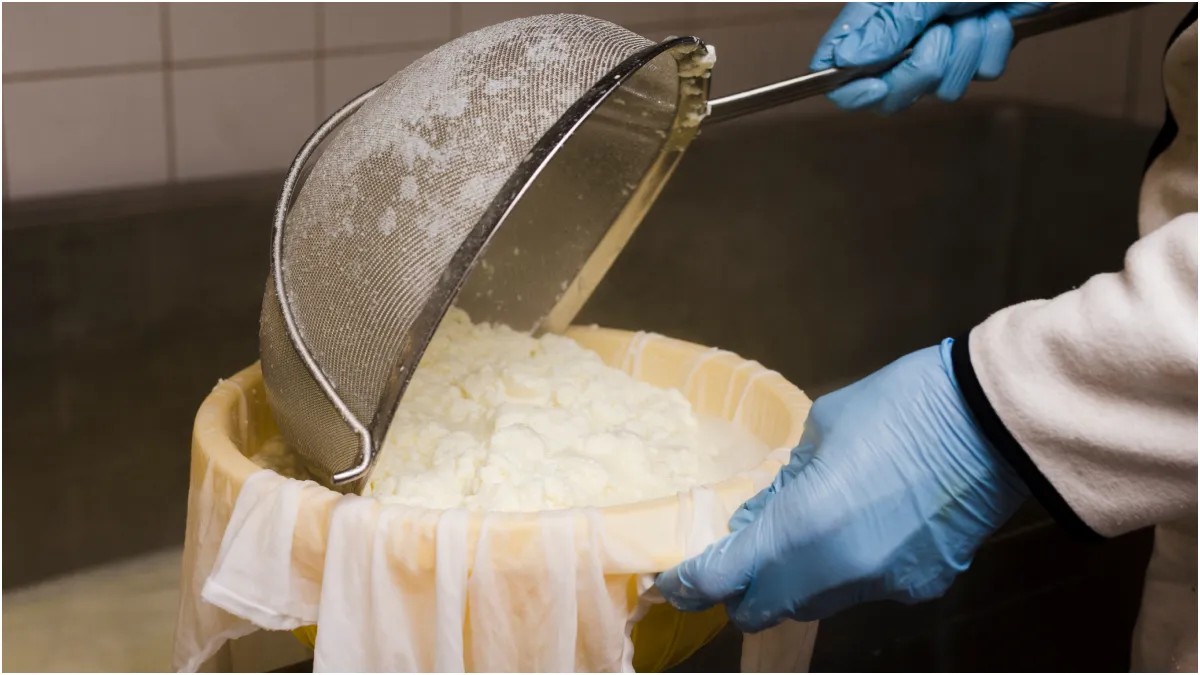 घर में पनीर कैसे बनाएं- India TV Hindi