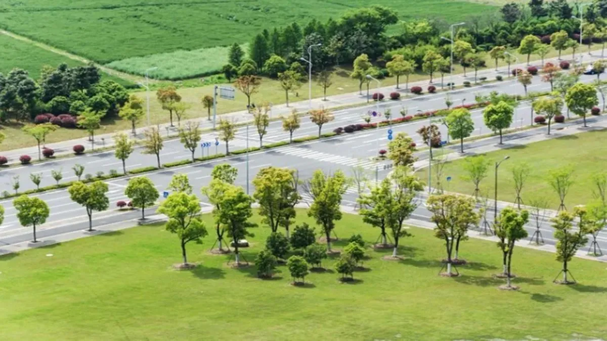 noida, noida authority, noida authority plots, noida authority alloted plots, Ownership rights, plot- India TV Paisa