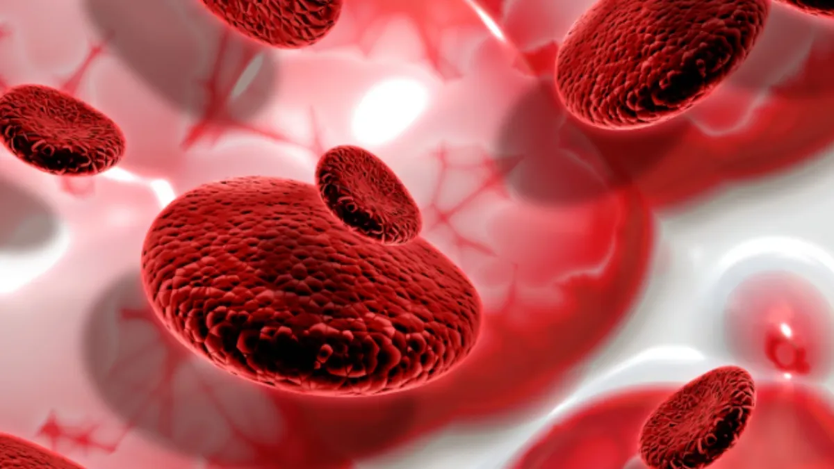 प्लेटलेट्स कम होने पर क्या नहीं खाना चाहिए?- India TV Hindi