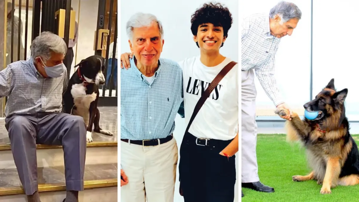 Ratan tata, ratan tata death anniversary- India TV Paisa