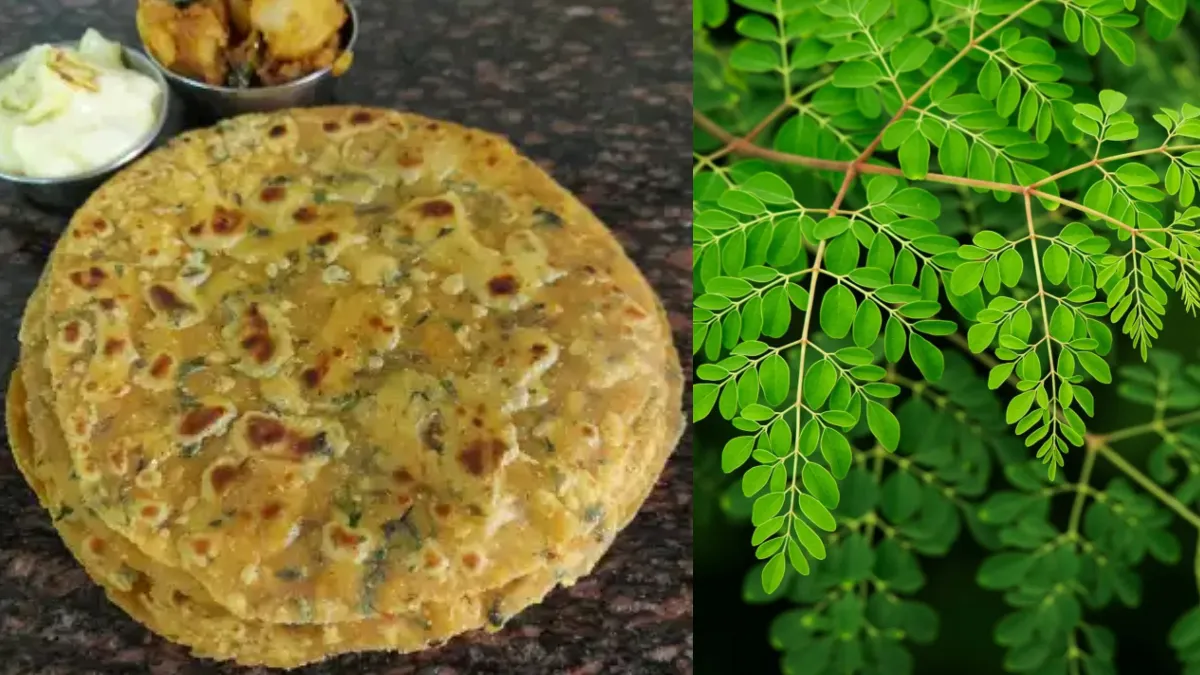सहजन का पराठा रेसिपी- India TV Hindi