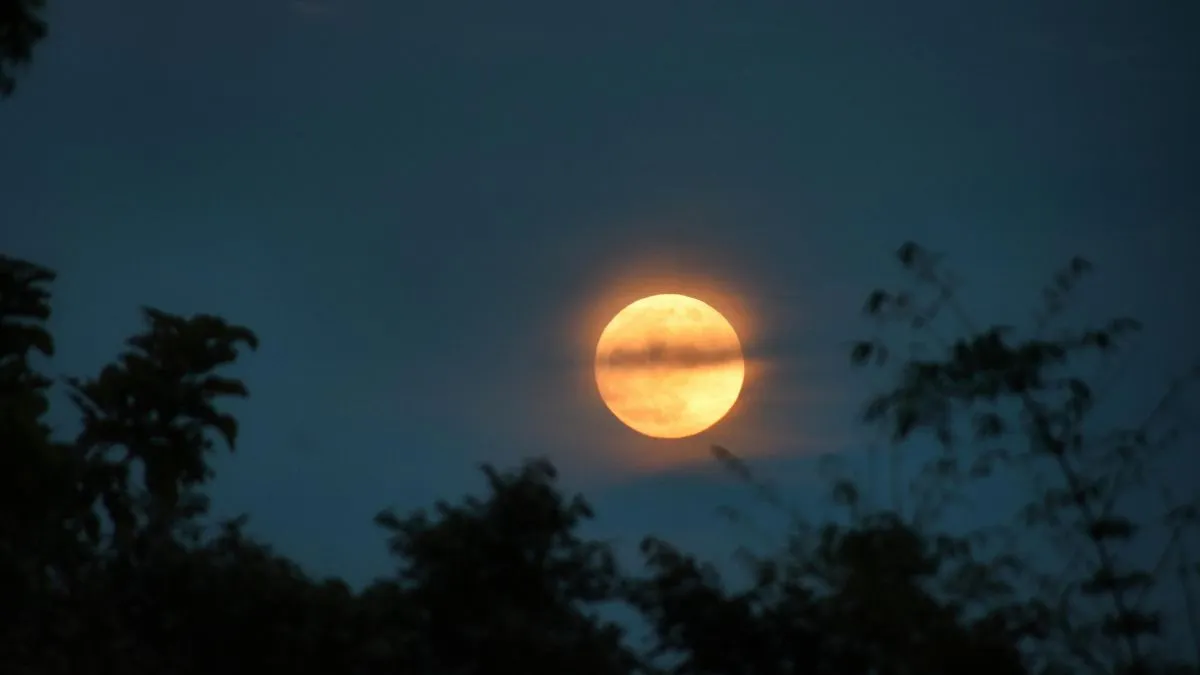sharad purnima- India TV Hindi