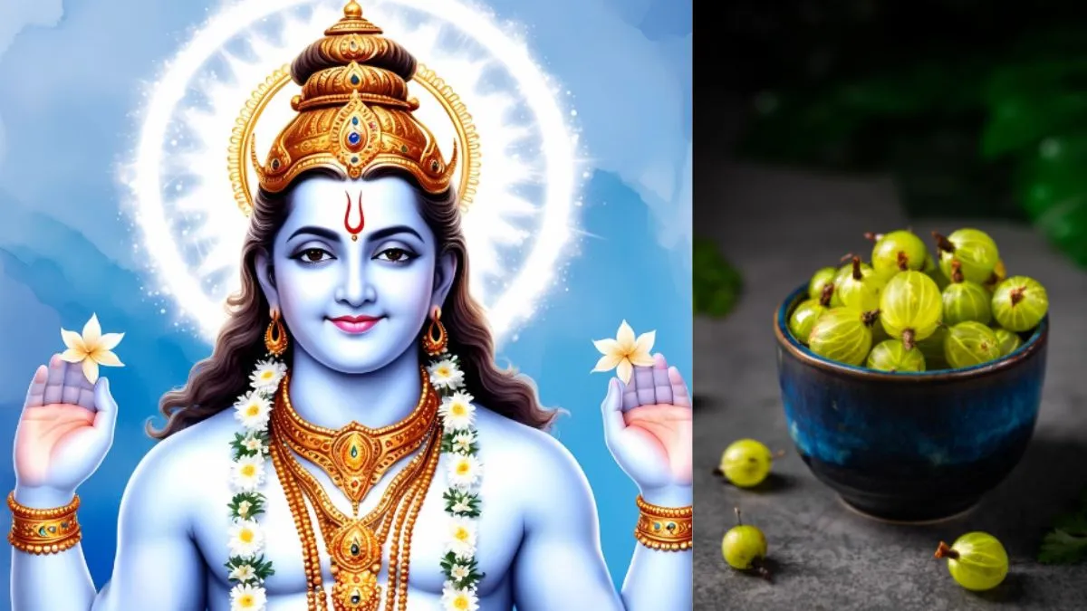 अक्षय नवमी 2025 की ढेरों शुभकामनाएं- India TV Hindi