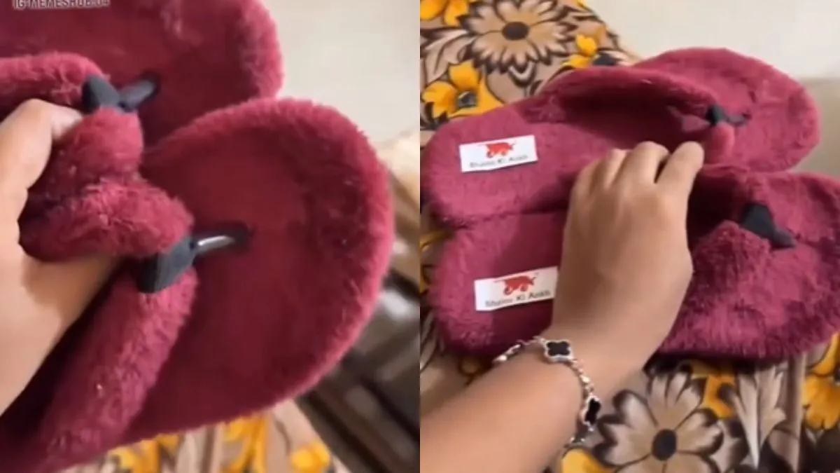 वायरल वीडियो का स्क्रीनशॉट- India TV Hindi