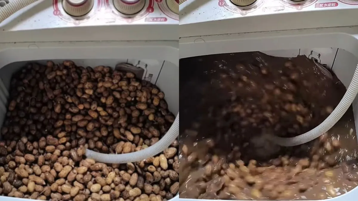 वायरल वीडियो का स्क्रीनशॉट- India TV Hindi