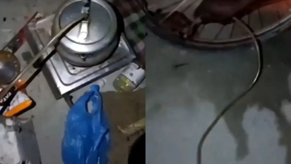 वायरल वीडियो का स्क्रीनशॉट- India TV Hindi