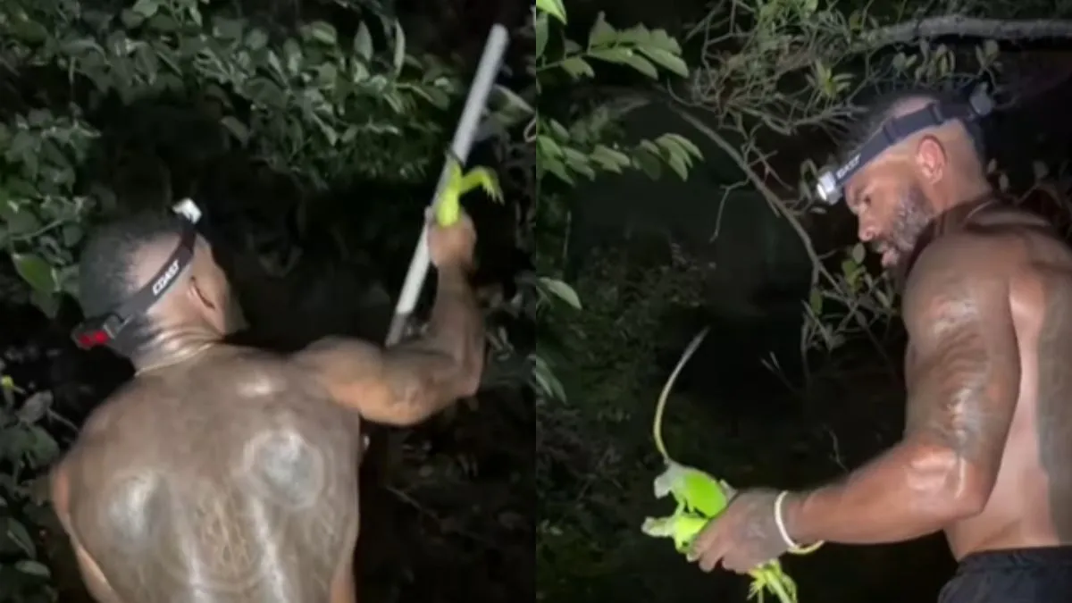 वायरल वीडियो का स्क्रीनशॉट- India TV Hindi