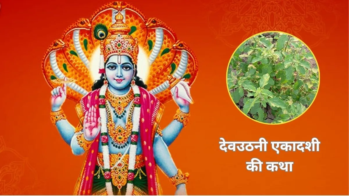 Dev Uthani Ekadashi Katha- India TV Hindi