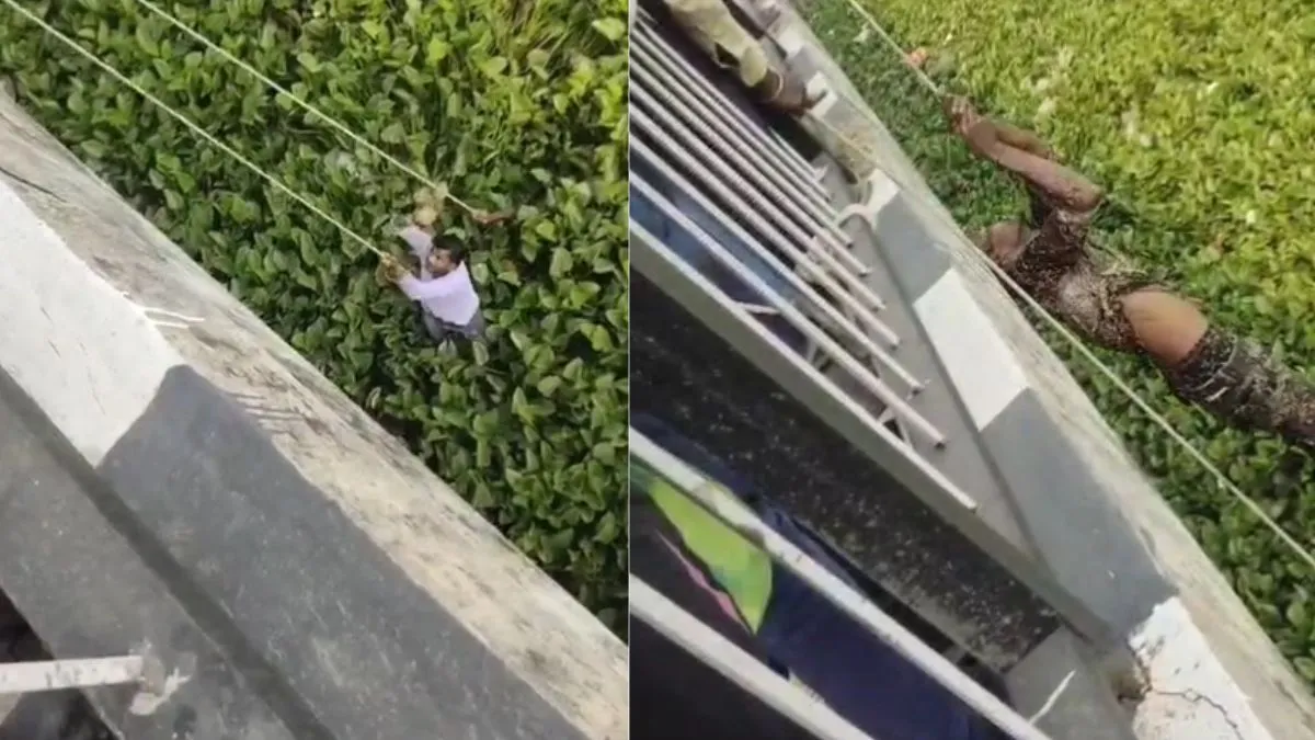 unnao man suicide video, unnao man stuck in water hyacinth- India TV Hindi