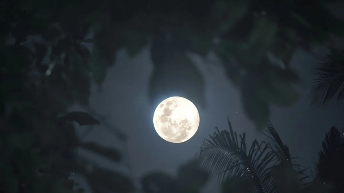 Kartik Purnima Upay- India TV Hindi