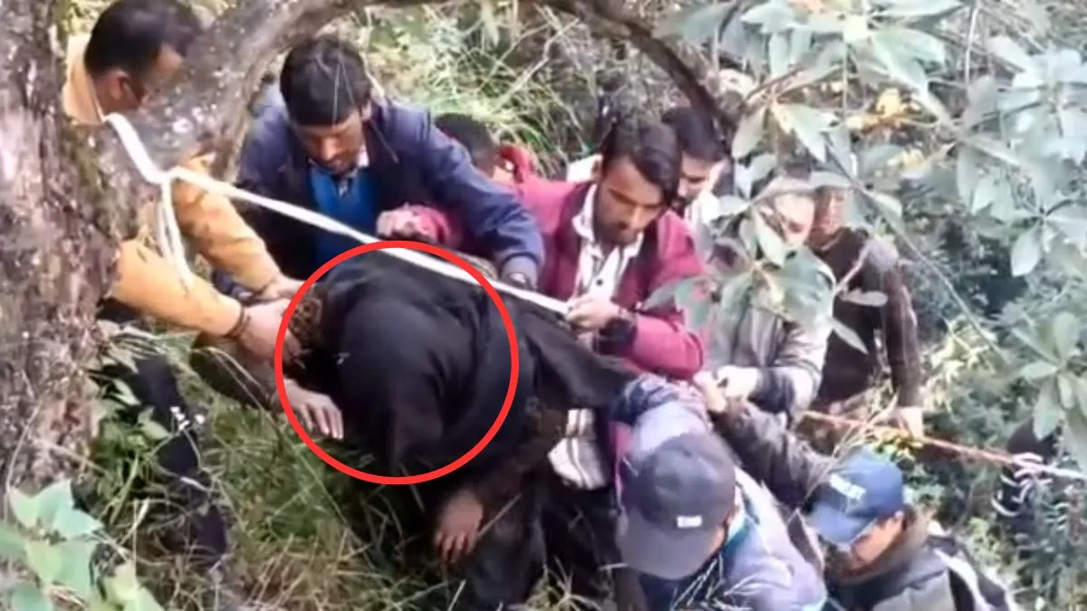 Chamoli bear attack- India TV Hindi