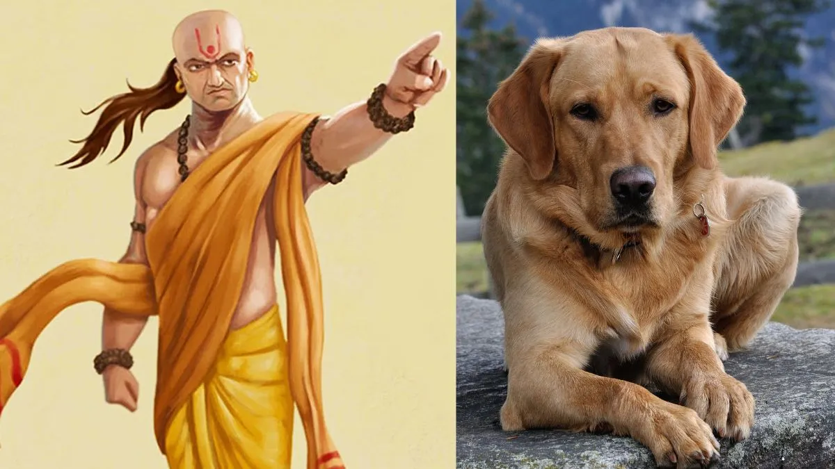 Chanakya Niti- India TV Hindi