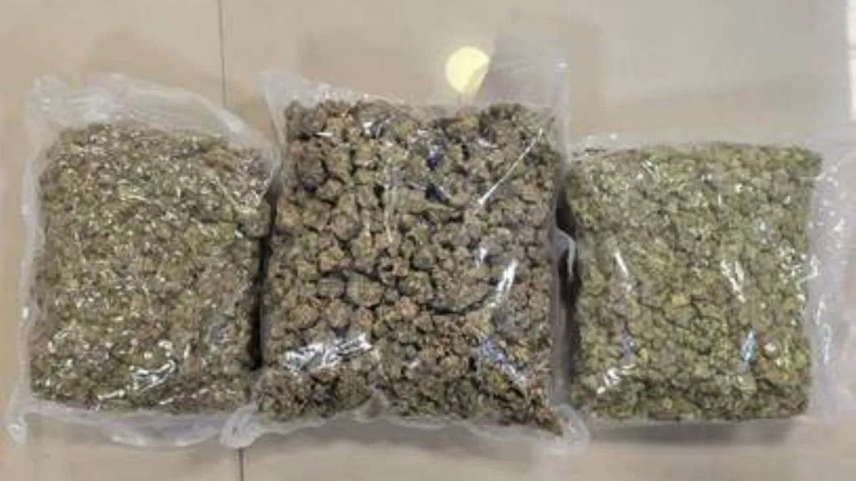 Weed- India TV Hindi