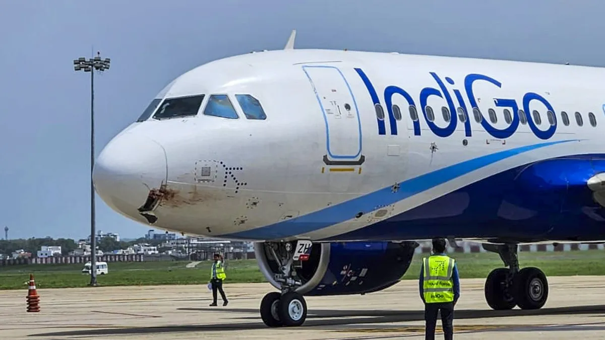 indigo flight bird hit rishikesh- India TV Hindi