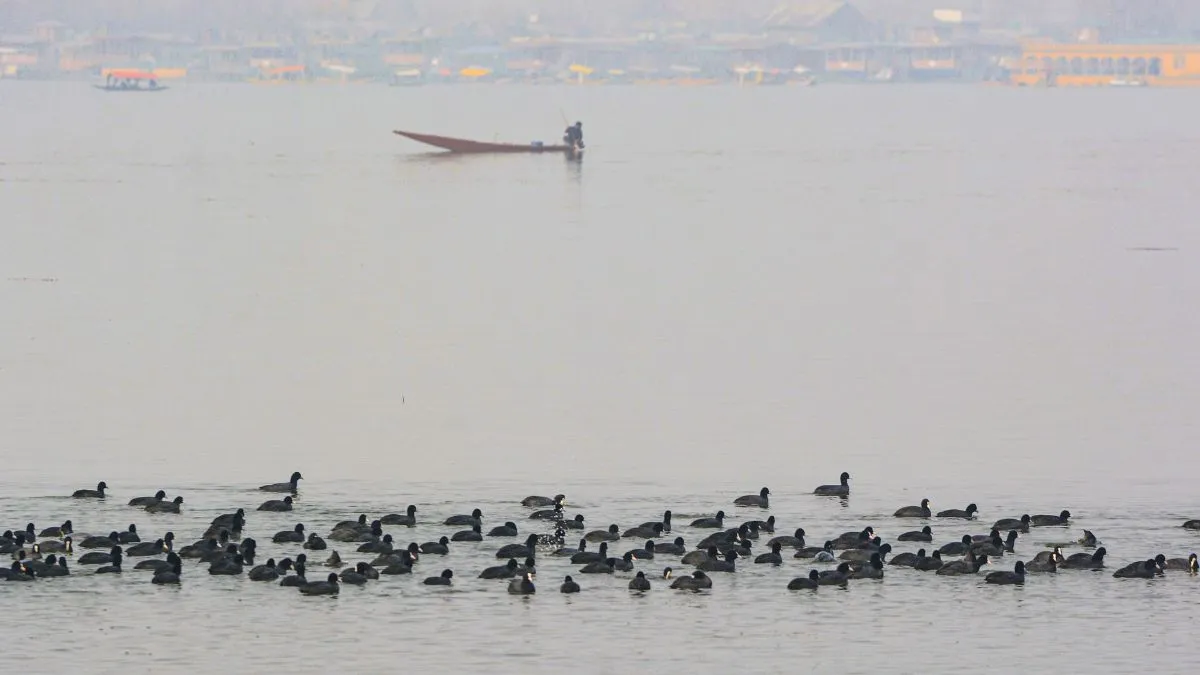 Kashmir cold wave, Srinagar temperature, coldest November since 2007- India TV Hindi
