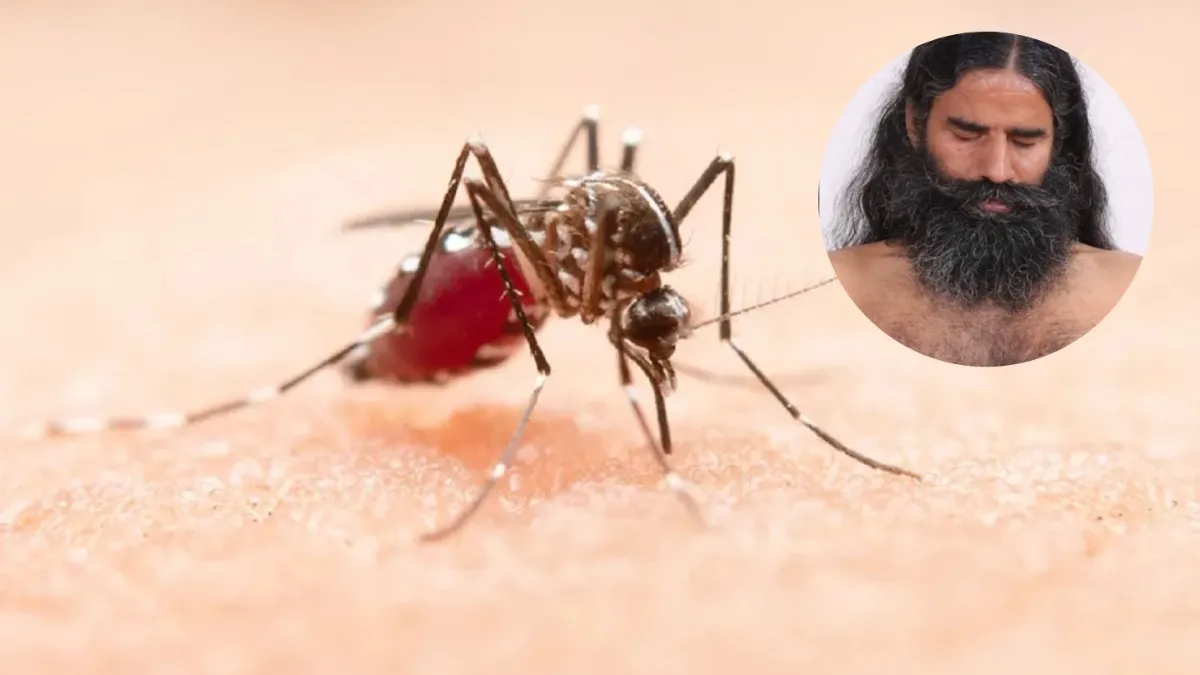 डेंगू के मरीज- India TV Hindi