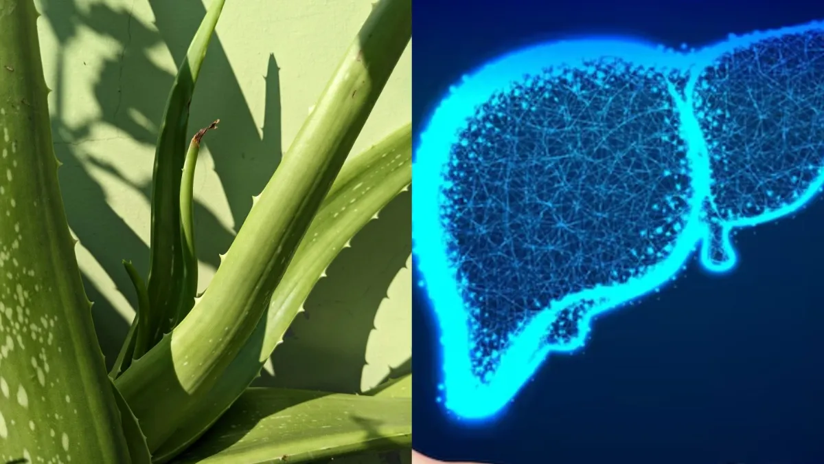 फैटी लिवर- India TV Hindi