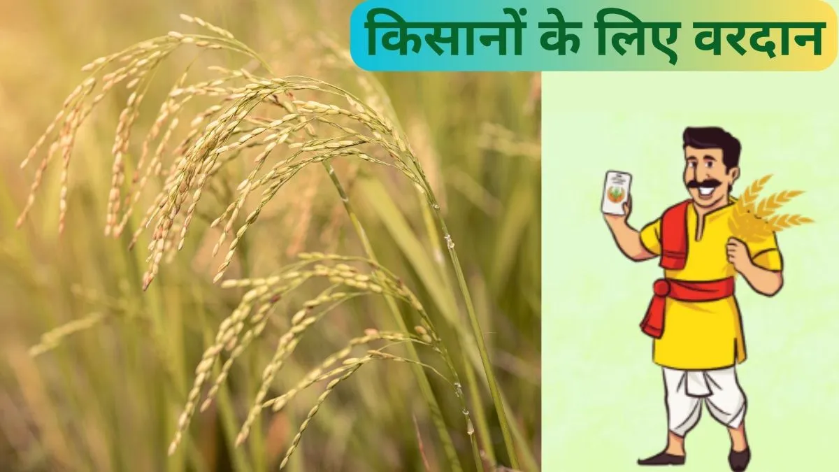 स्कीम के तहत कोशिश होती है कि फसल कटाई के बाद दो महीने के भीतर दावों का निपटारा किया जाए।- India TV Paisa