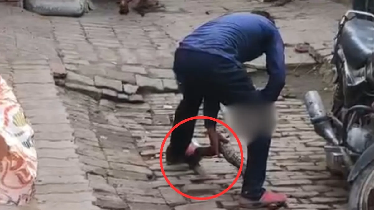 python- India TV Hindi