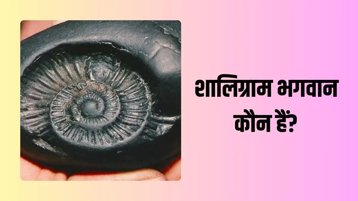 shaligram- India TV Hindi