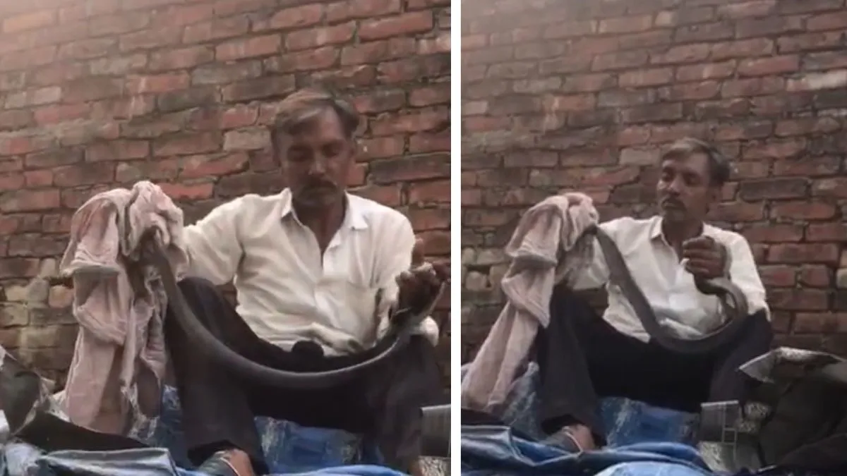 cobra- India TV Hindi