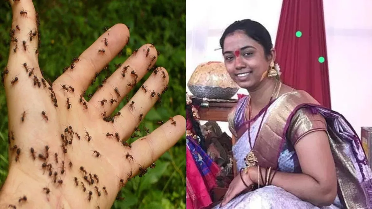 चींटियों के डर से...- India TV Hindi