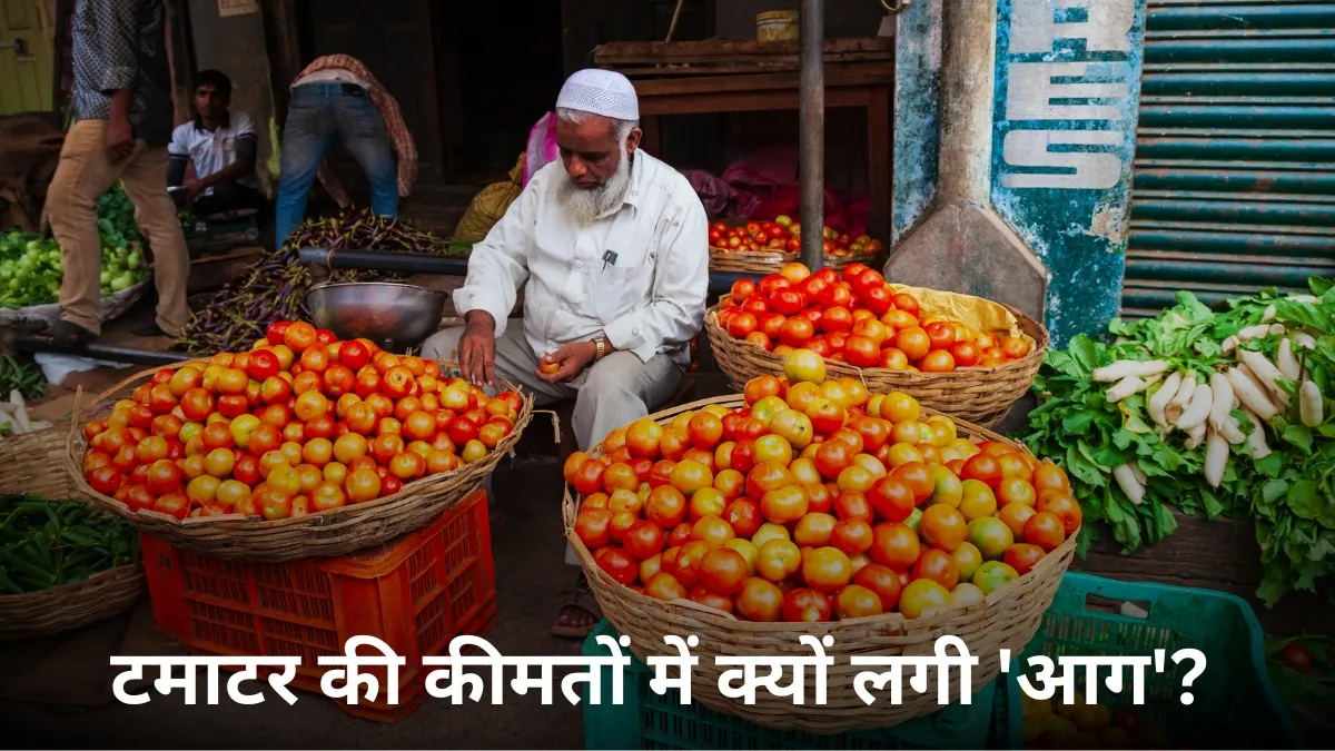 10 दिनों में 50% महंगा हुआ...- India TV Paisa