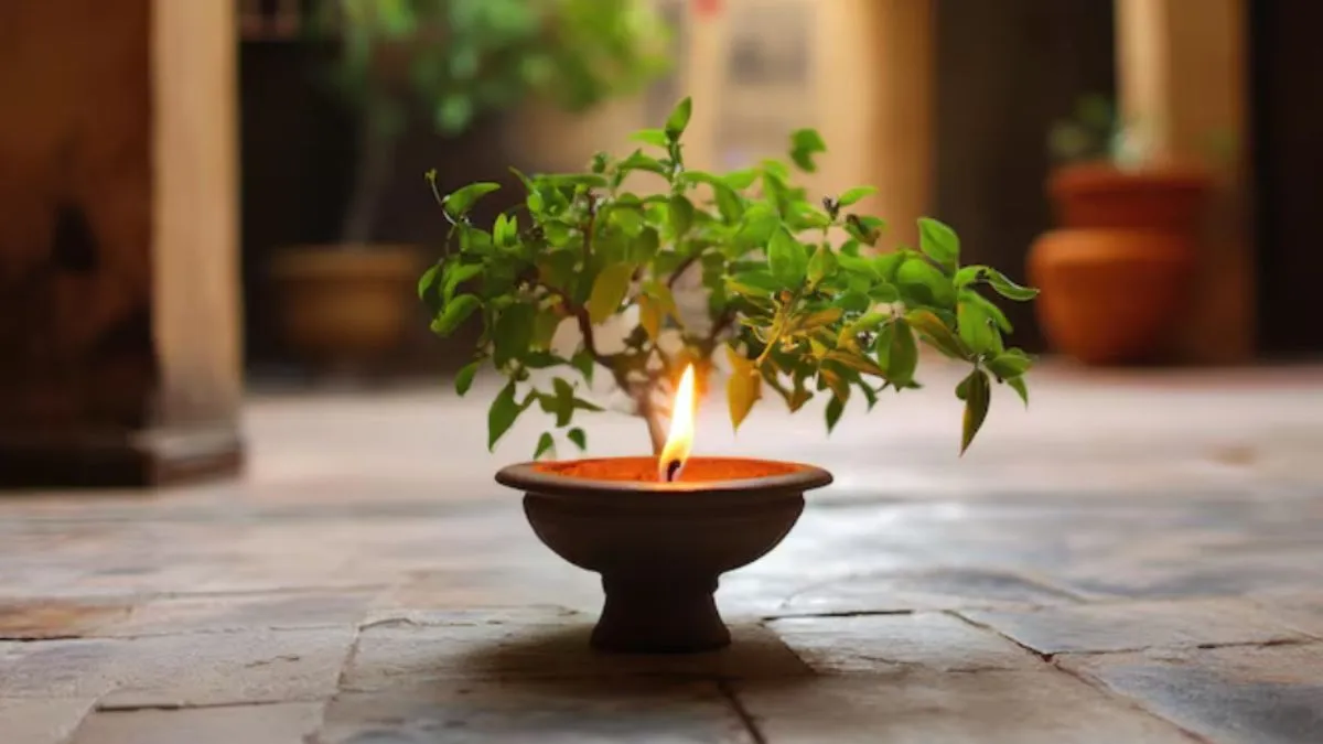 Tulsi Deepak Upay- India TV Hindi