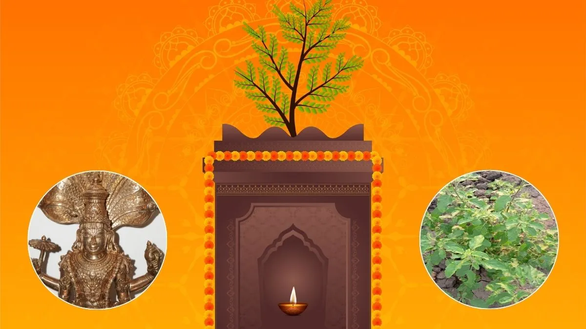 Tulsi Chalisa- India TV Hindi