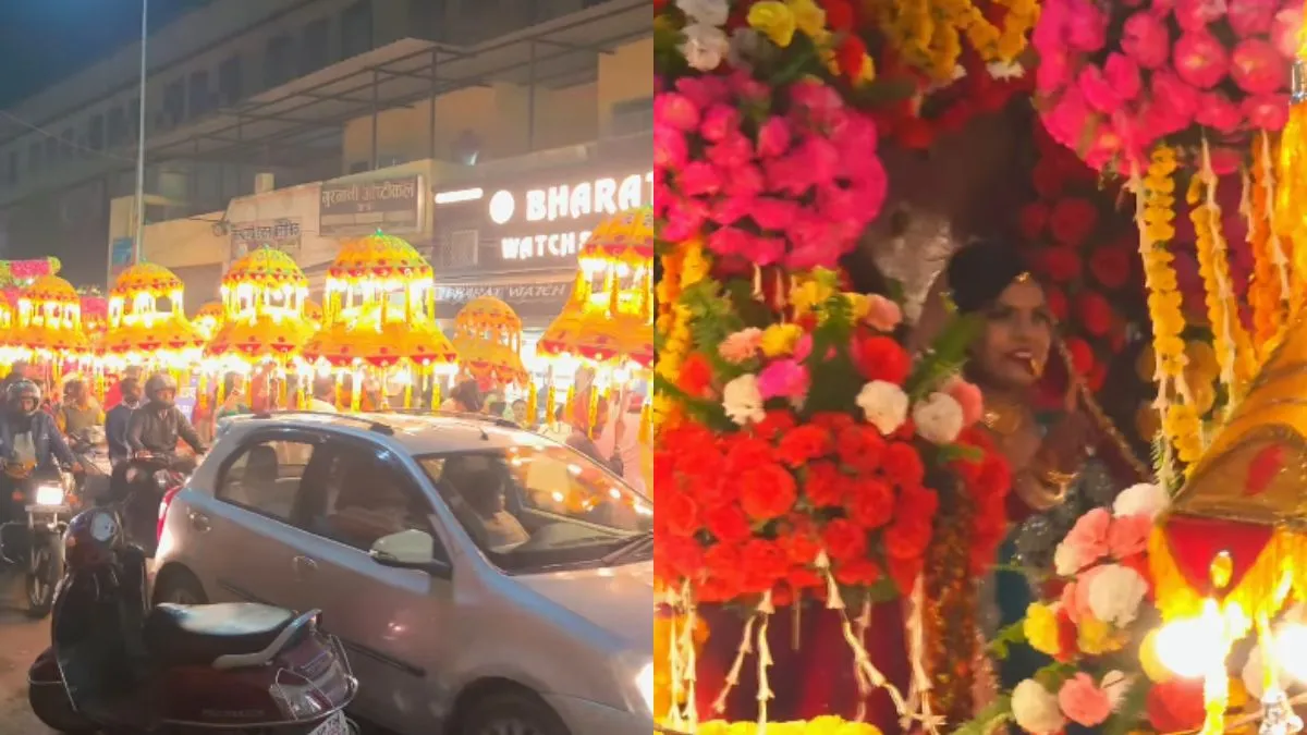 वायरल वीडियो का स्क्रीनशॉट- India TV Hindi