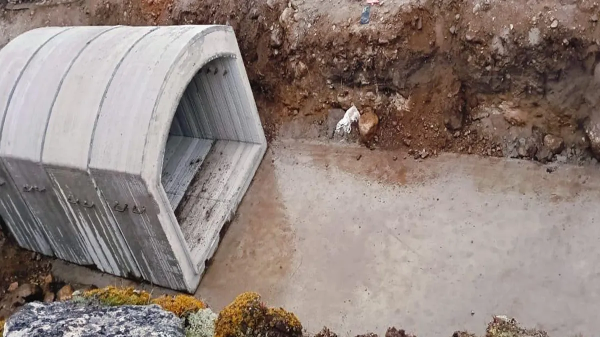 3डी कंक्रीट पेंटिंग...- India TV Hindi