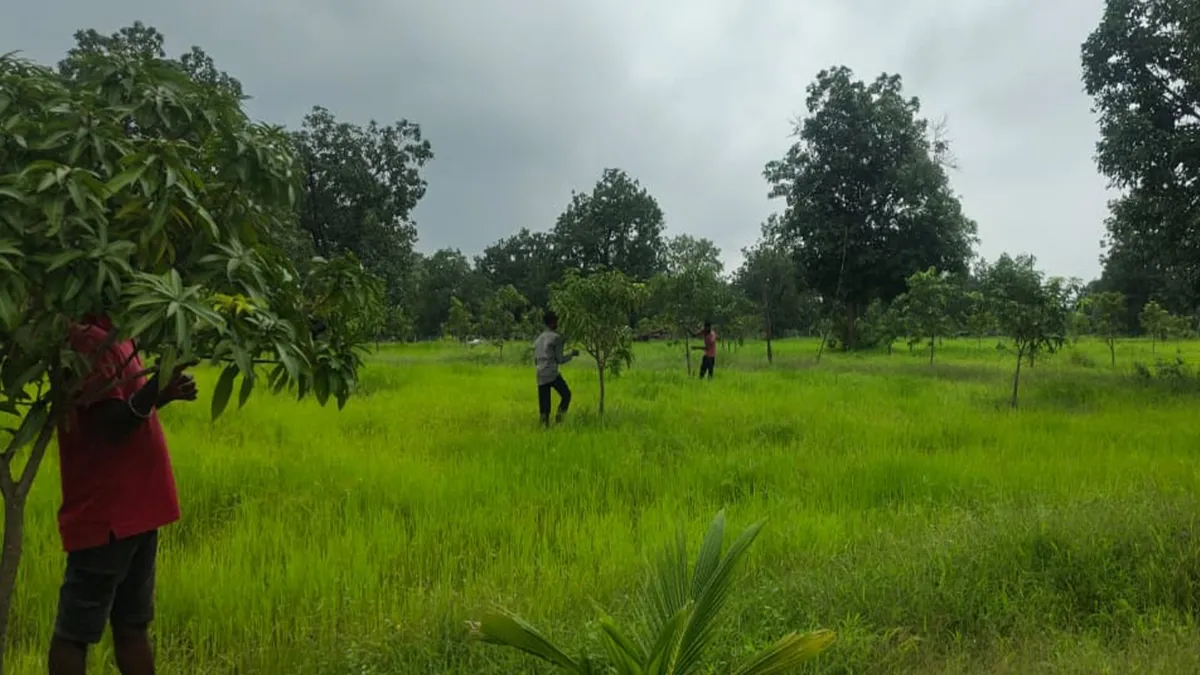 aam bagicha- India TV Hindi