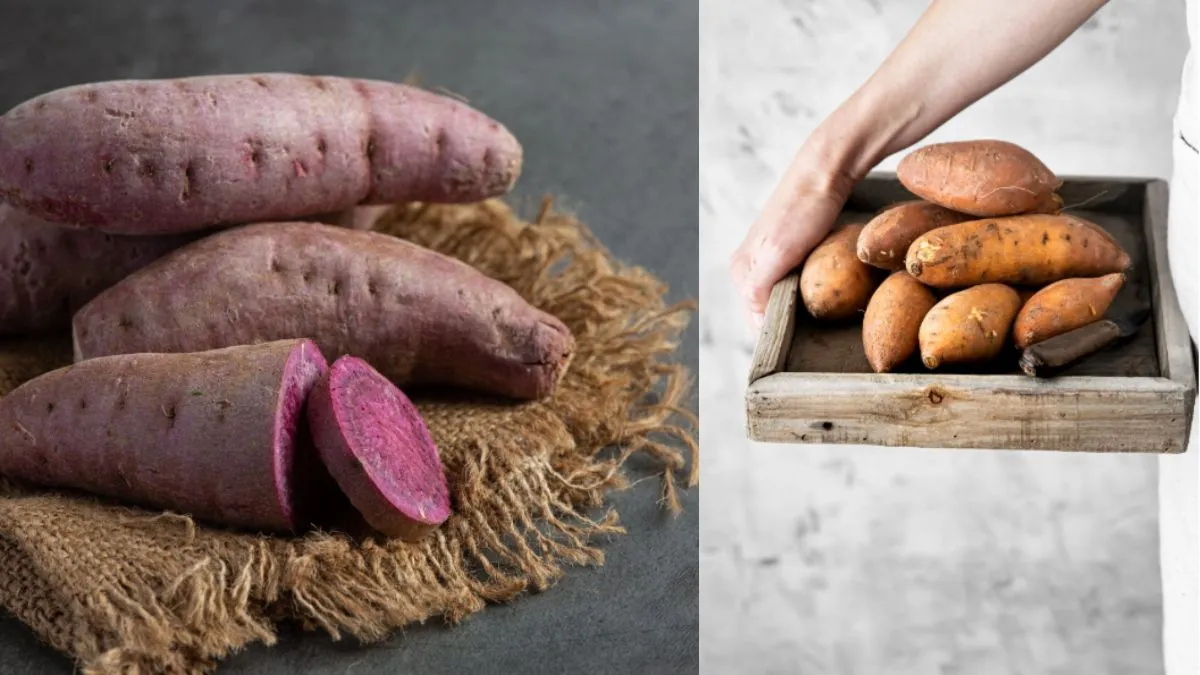 लाल या सफेद शकरकंद, कौन सी सेहत के लिए है ज्यादा फायदेमंद- India TV Hindi