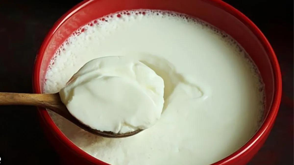 सर्दियों में इस तरह जमाएं मलाईदार-थक्केदार दही- India TV Hindi