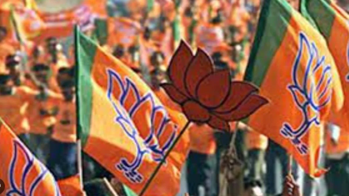 भाजपा की जीत- India TV Hindi