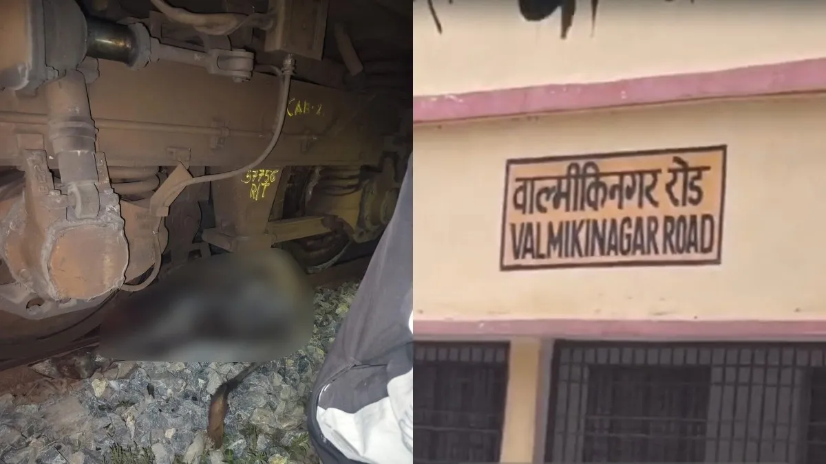 buffalo- India TV Hindi