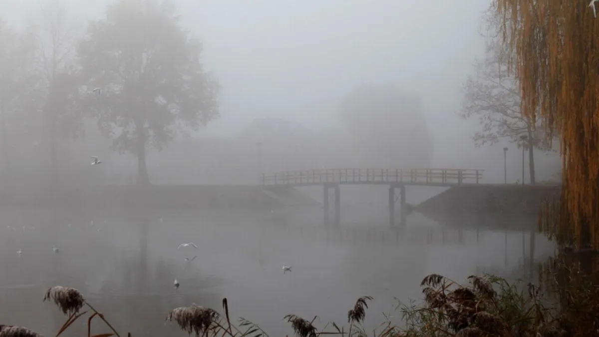 why dense fog forms near river, aaj ka mausam kaisa rahega, aaj ka mausam kaisa hai, aaj ka mausam k- India TV Hindi